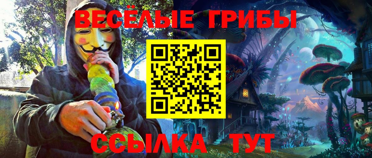 Волгодонск  Галлюциногенные грибы GOLDEN TEACHER  Вход с VPN 